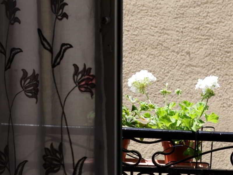 Belvedere Rooms And Terrace Trapani Exterior photo